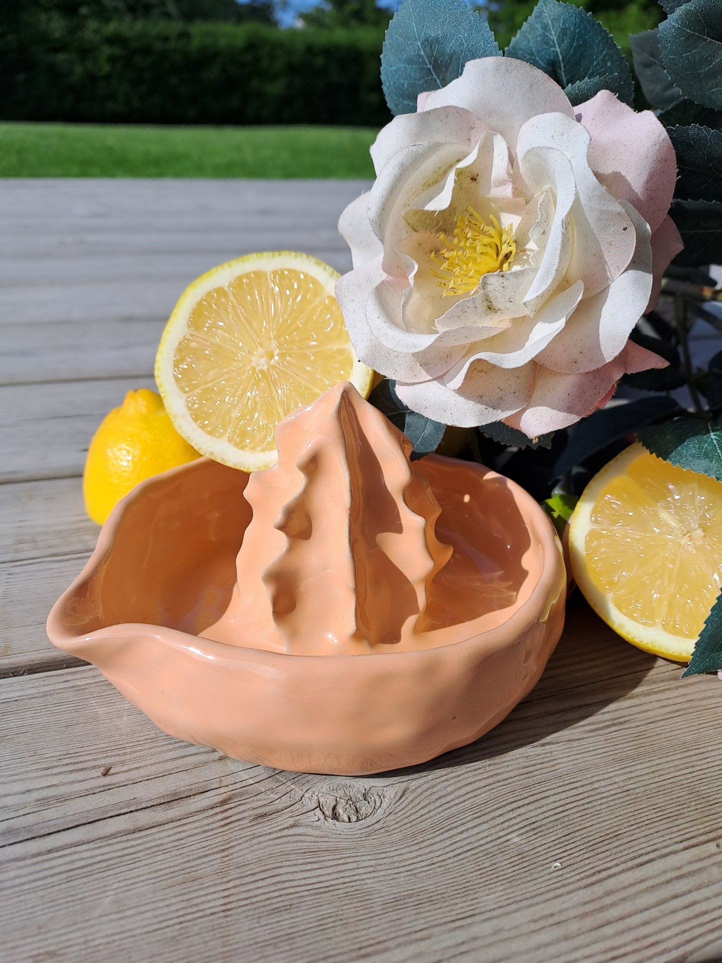 CITRUSPRESS