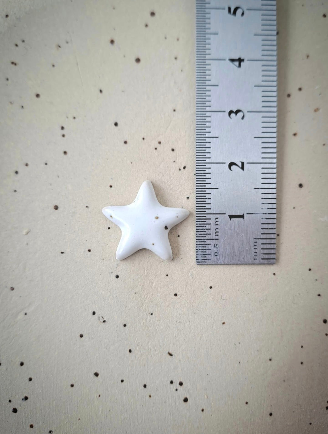 STAR örhängen